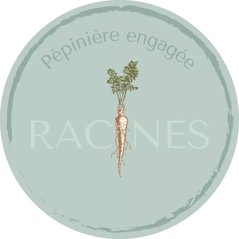 RACINES