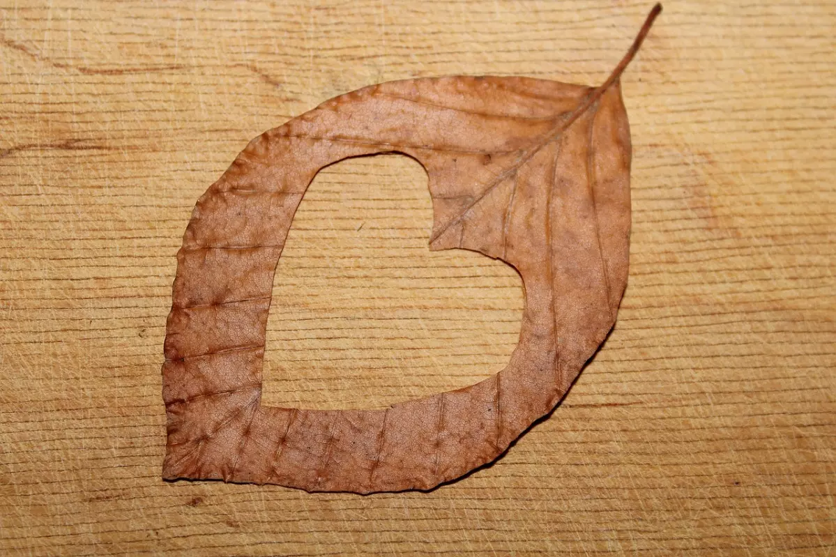 coeur