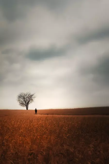 Isolation